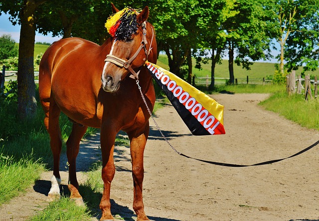 他们的事迹 他们的事迹