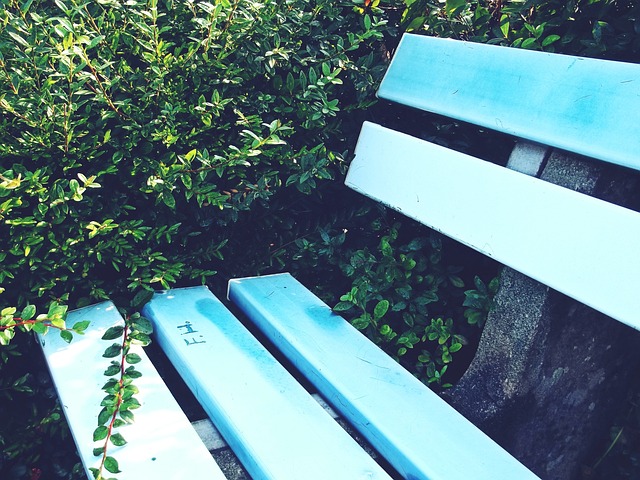 也是一次心 也是一次心